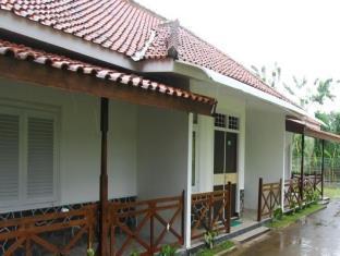New Ayuda 2 Puncak